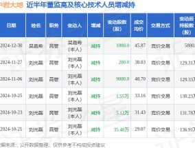 中岩大地：12月30日高管吴嘉希减持股份合计1000股