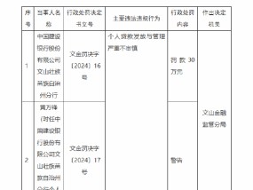 建设银行文山壮族苗族自治州分行被罚30万元：因个人贷款发放与管理严重不审慎