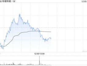 哔哩哔哩-W12月6日斥资300万美元回购15.63万股